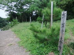 24-DSCF0537