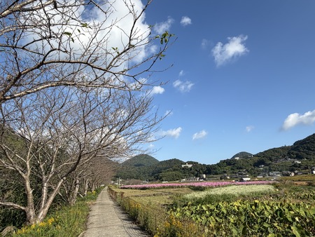 ����Į�ķ�Υ����⥹Ȫ��������IMG_1333