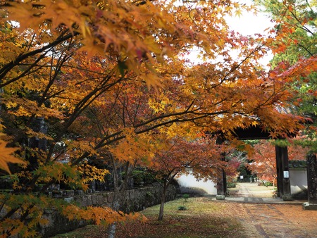 2021.11.24������ԡ�ŷʹ��PB247989