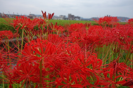 2-諫早市DSC02466