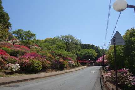7-稲佐山DSC00108