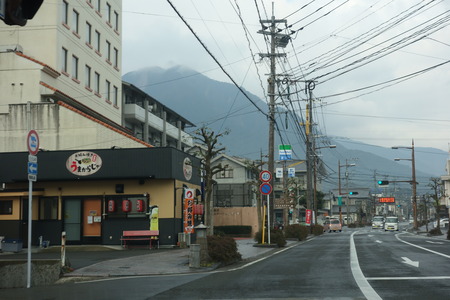 5−島原 柴犬DSC09227