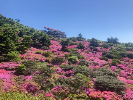 2024.05.10 雲仙仁田峠IMG_5095