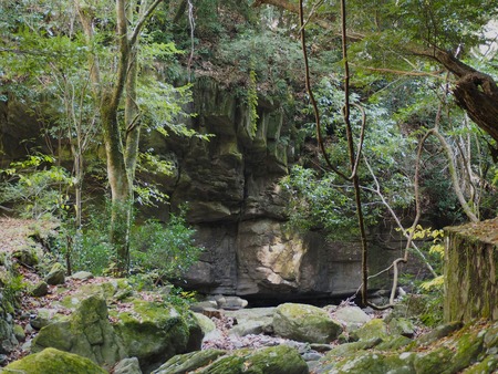 ����Թ���Į�����ήPB261550