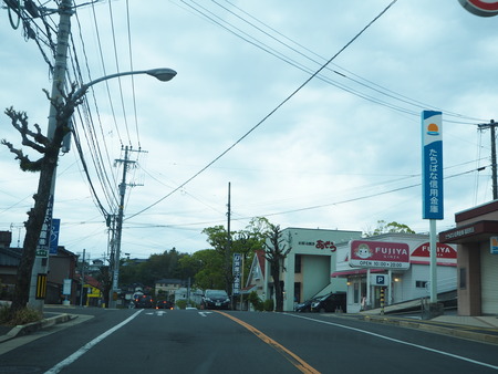 1−諫早市福田町 梅蓮P4190486