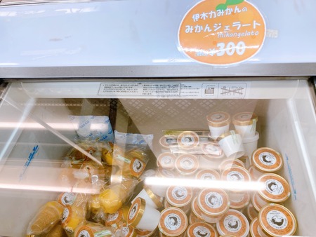 2023.06.05 諌早市いさはや市場TETOTE アイスIMG_1487