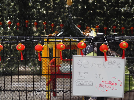 Ĺ����ࡡ����åȤΥ���P2141764