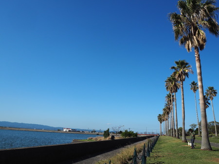 1-大村市 森園公園PB165274
