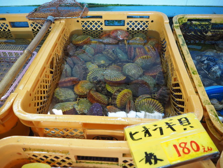 10-諫早市高来町 深山水産 かき小屋P1161414