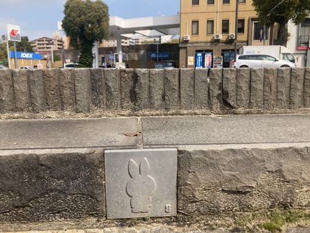 2024.03.24 ����ɽ�綶����I-8IMG_5942