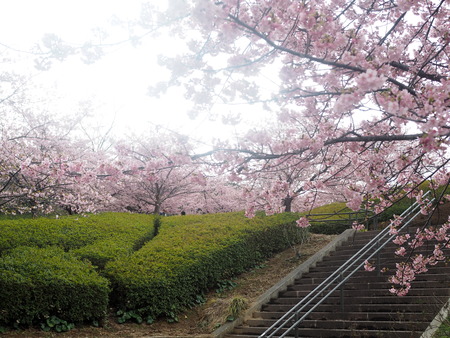 ����������β��ź�P2221386