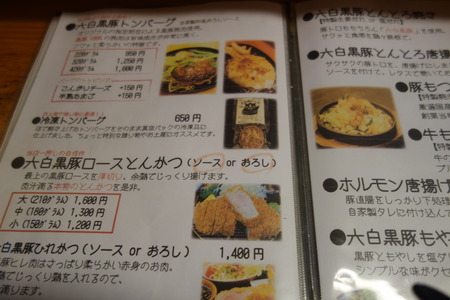 6-������Į������ϻ��DSC06714