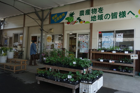 5-JAせいひ ふれあい市DSC00132