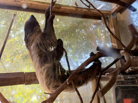 Ĺ��Х����ѡ������ѥ�IMG_0748