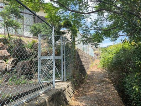 南島原市加津佐町 六反田ふれあいセンター下ひまわり畑IMG_1723