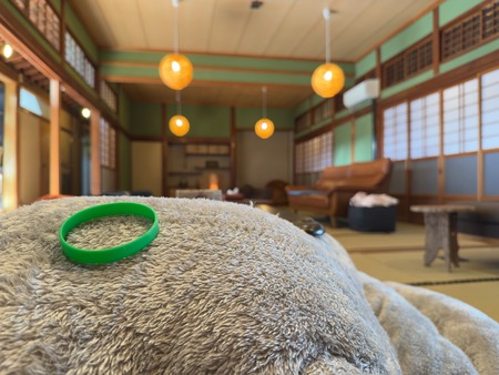 �����ä�������̴ۡ����Ͳ�����졡�ꥹ�ȥХ��IMG_1528