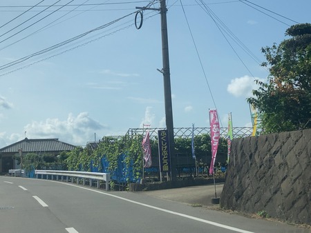 2024.0827 大村市福重IMG_9705