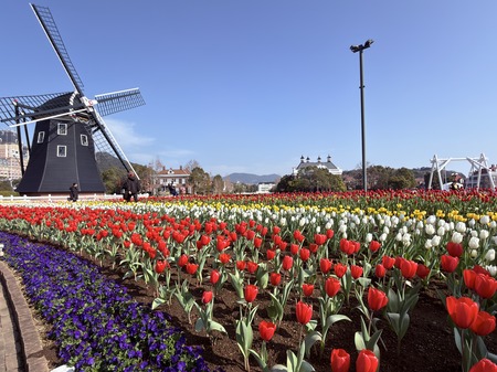 �ϥ����ƥ�ܥ�IMG_7832