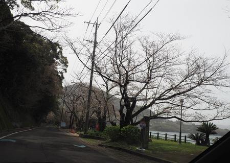 2023.03.25 長与町 和三郎憩いの広場P1018640