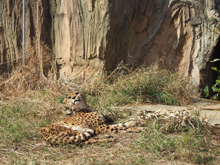 2021.11.14 �����ݻԡ��彽����ư��ʪ�ࡡ�������PB136188