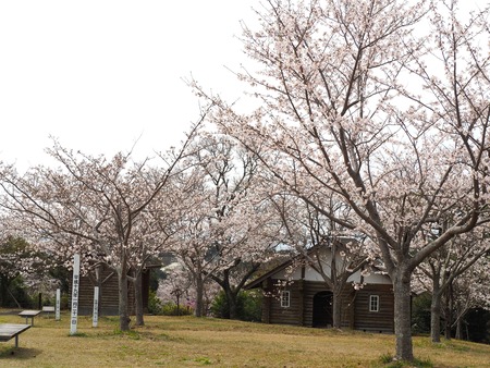 �������⸶�κ�P3271632