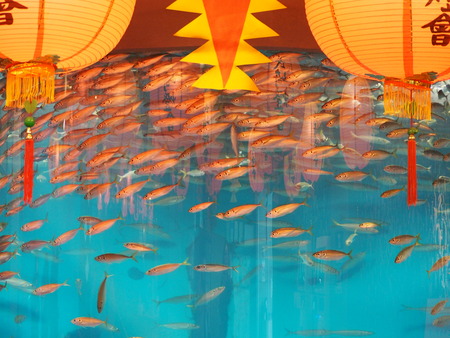 Ĺ��ԡ�Ĺ��ڥ󥮥��²��P2141865