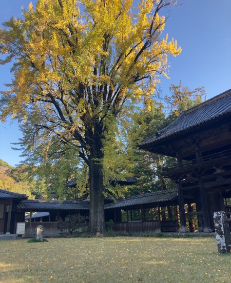 2024.12.02 ����ԡ�ŷʹ��IMG_0611