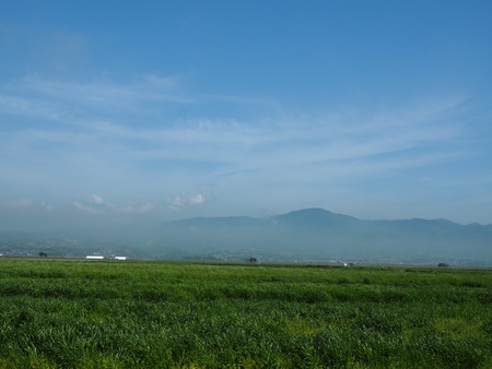 2022.04.25 諫早市小野島町 諫早湾中央干拓P4250179