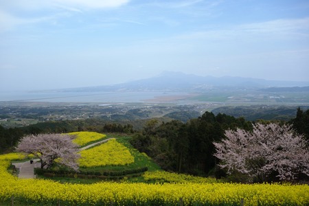 10-白木峰高原DSC06138