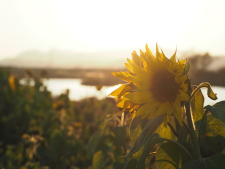 ���βж��Ҥޤ��PC201406