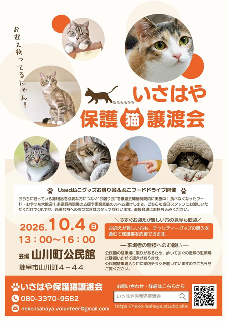 保護猫譲渡会