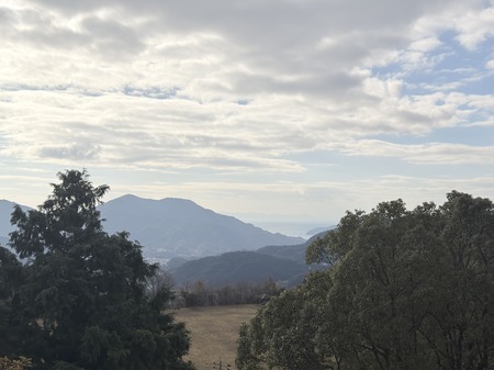 ¿�ɸ�Į������¢�����ࡡ��Ĺ��IMG_8271