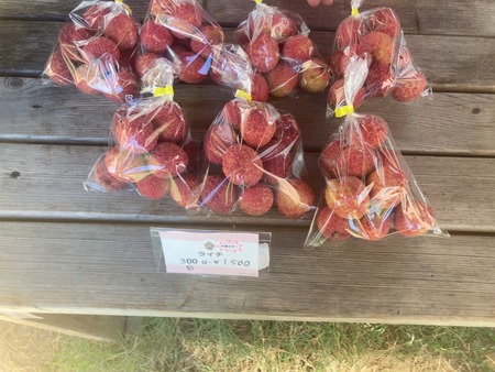 ���츩��Į���ߥ��ե����भ��� �饤��Ŧ�߼���IMG_8408