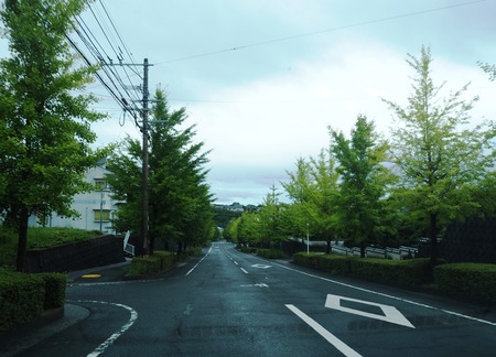 3-南島原市西有家町 kakkon cafe P7213630