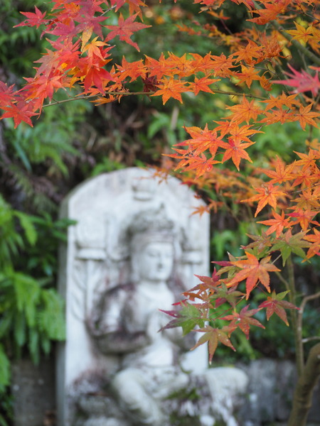 2025.11.28������ԡ�ŷʹ��PB281621