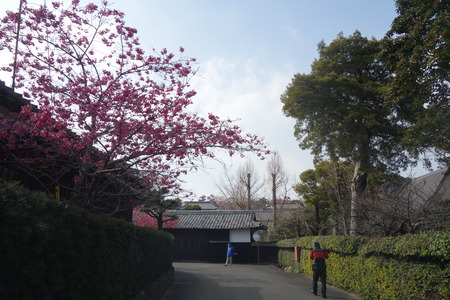 1-国見町 神代小路DSC06396