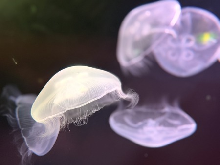 1-2���������IMG_2147