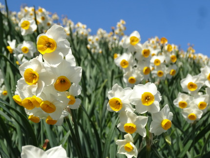 14-�����DSC00565