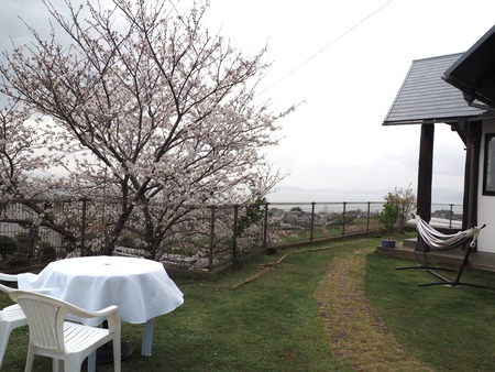 2023.03.29 大村市草場町 雪桃P1010088