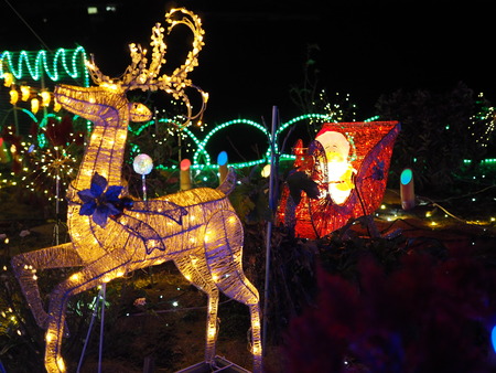 ��¼�ԡ��Ĳ������碌����ߥ͡������PC051442