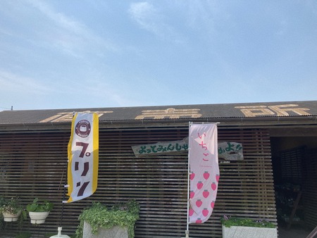 2022.06.05 ëÝÁá»ÔÈÓÀ¹Ä®¡¡·ë¤ÎÉÍ¥Þ¥ê¥ó¥Ñ¡¼¥¯IMG_8137