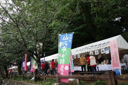 4-大村公園 花菖蒲DSC07523
