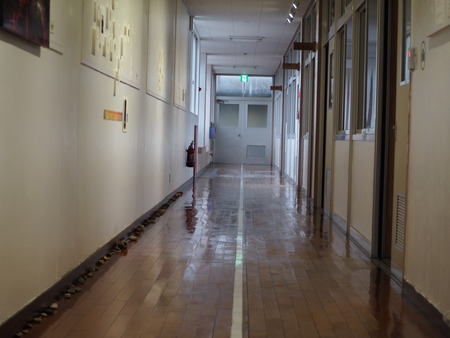 2023.05.05�����縶�ԡ������ȥӥ�å������饭��P1017267
