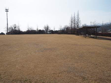 諫早市小長井町 山茶花高原P1161626