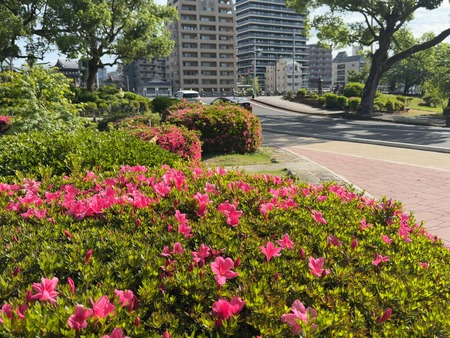 諫早公園IMG_7840