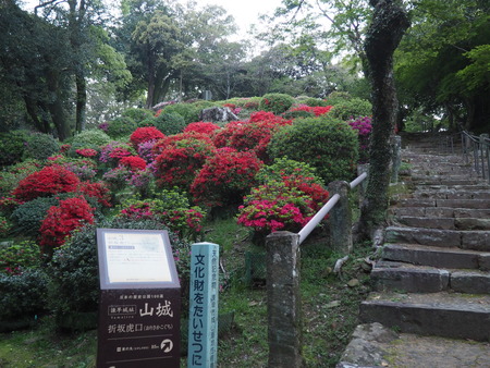 2023.04.07 諫早公園P1012904