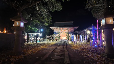 2024.12.31������Ը��Į���������_1735643475770_photo