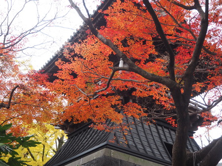 2021.11.24 ����ԡ��¾���PB247911