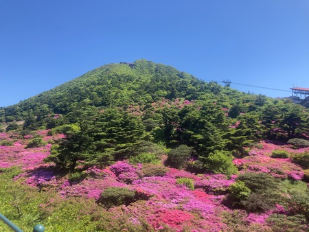 2024.05.10 雲仙仁田峠IMG_5096