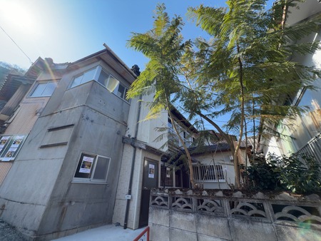 �����ä�������̴ۡ����Ͳ�����졡����IMG_1505